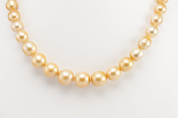 Gold Strand South Sea Pearl Necklace